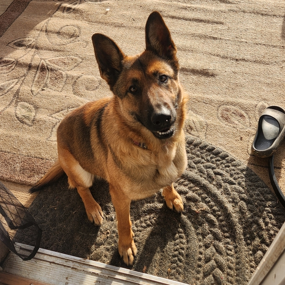 Hey yall! I'm Esther 👋